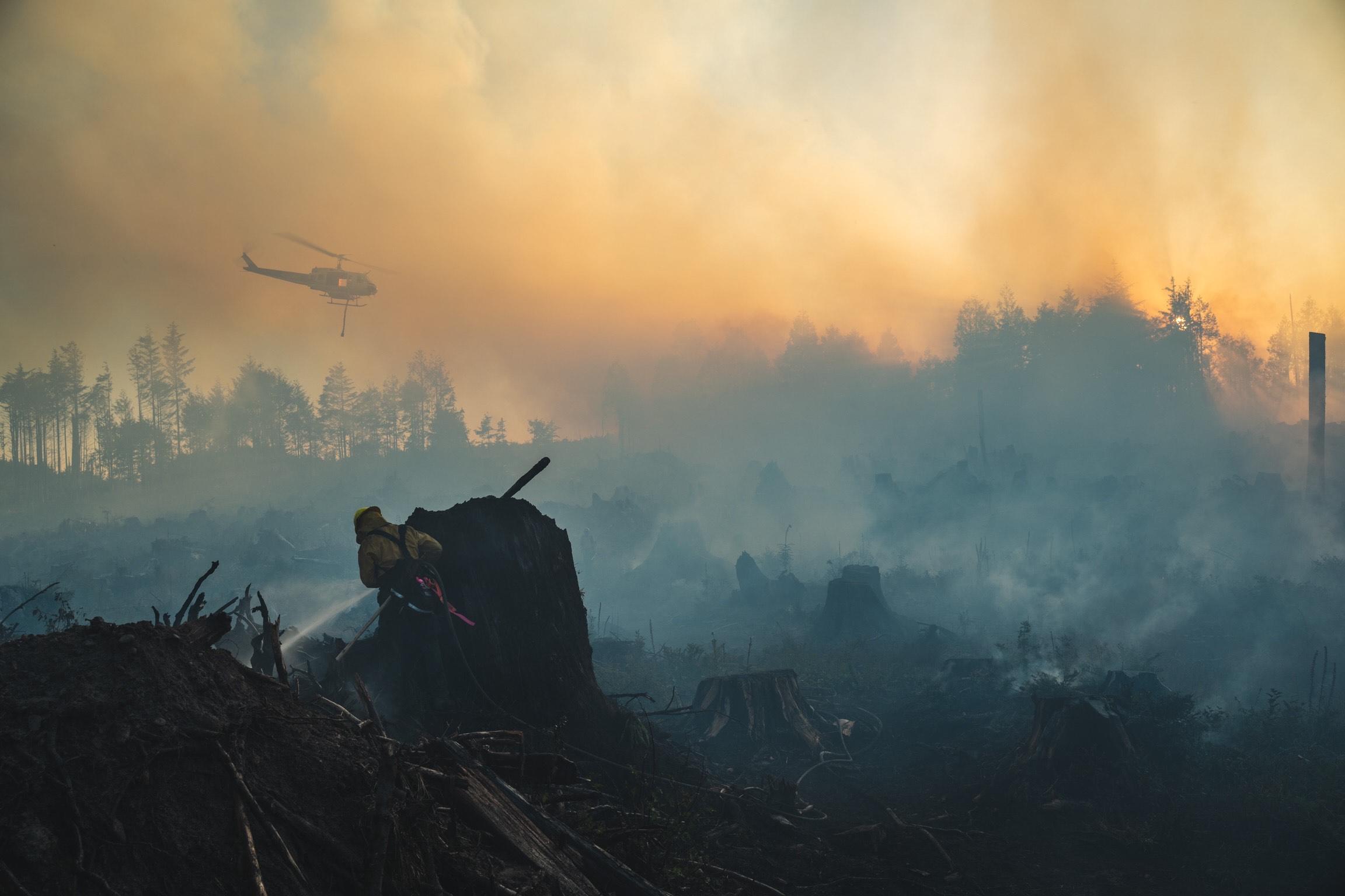 Waqnt Margarita Fire Incident Photographs Inci